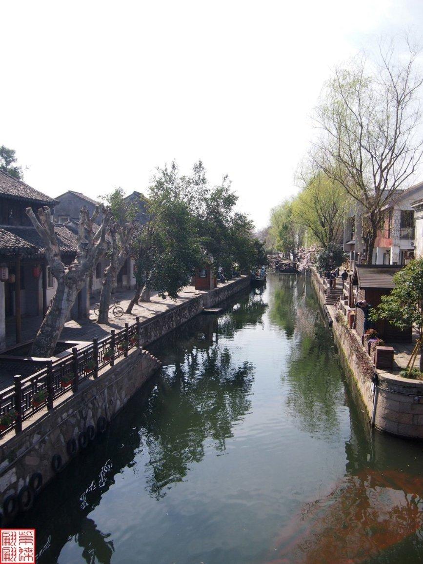 组装机械恐龙3